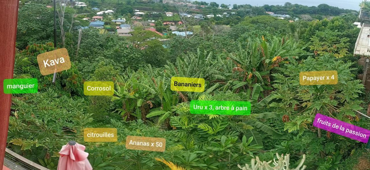 Manava Tahara'A Home Stay Mahina Екстер'єр фото