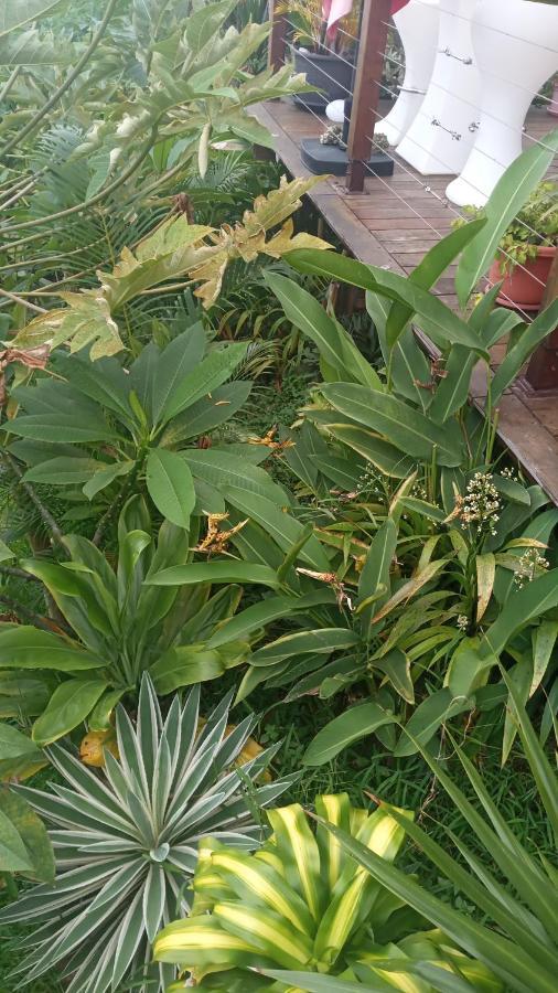 Manava Tahara'A Home Stay Mahina Екстер'єр фото